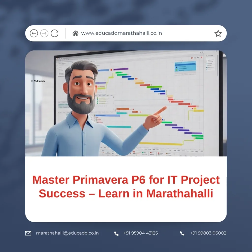 Primavera P6 IT Training