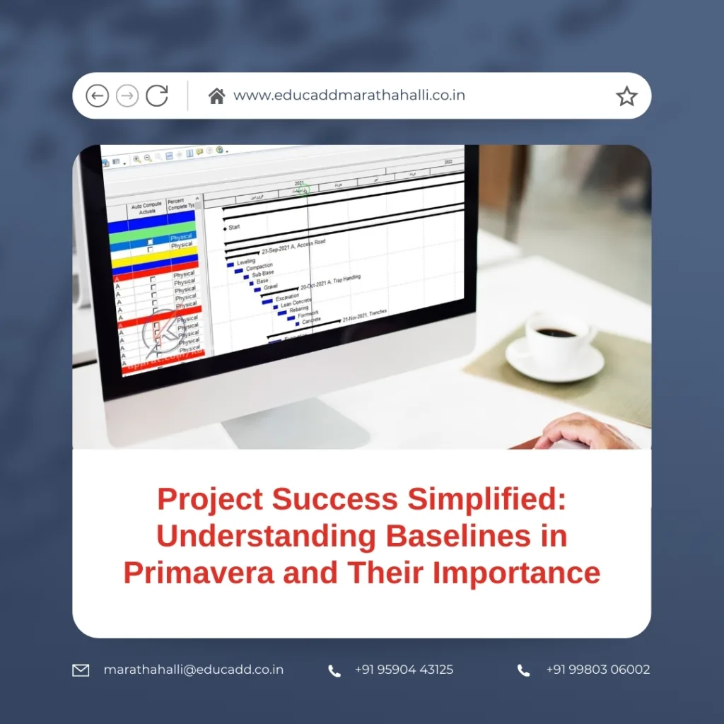 Primavera baseline management