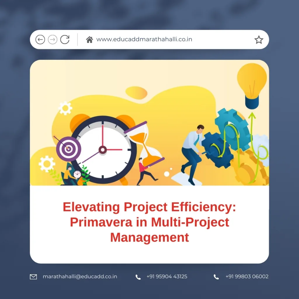 Primavera Multi Project Management