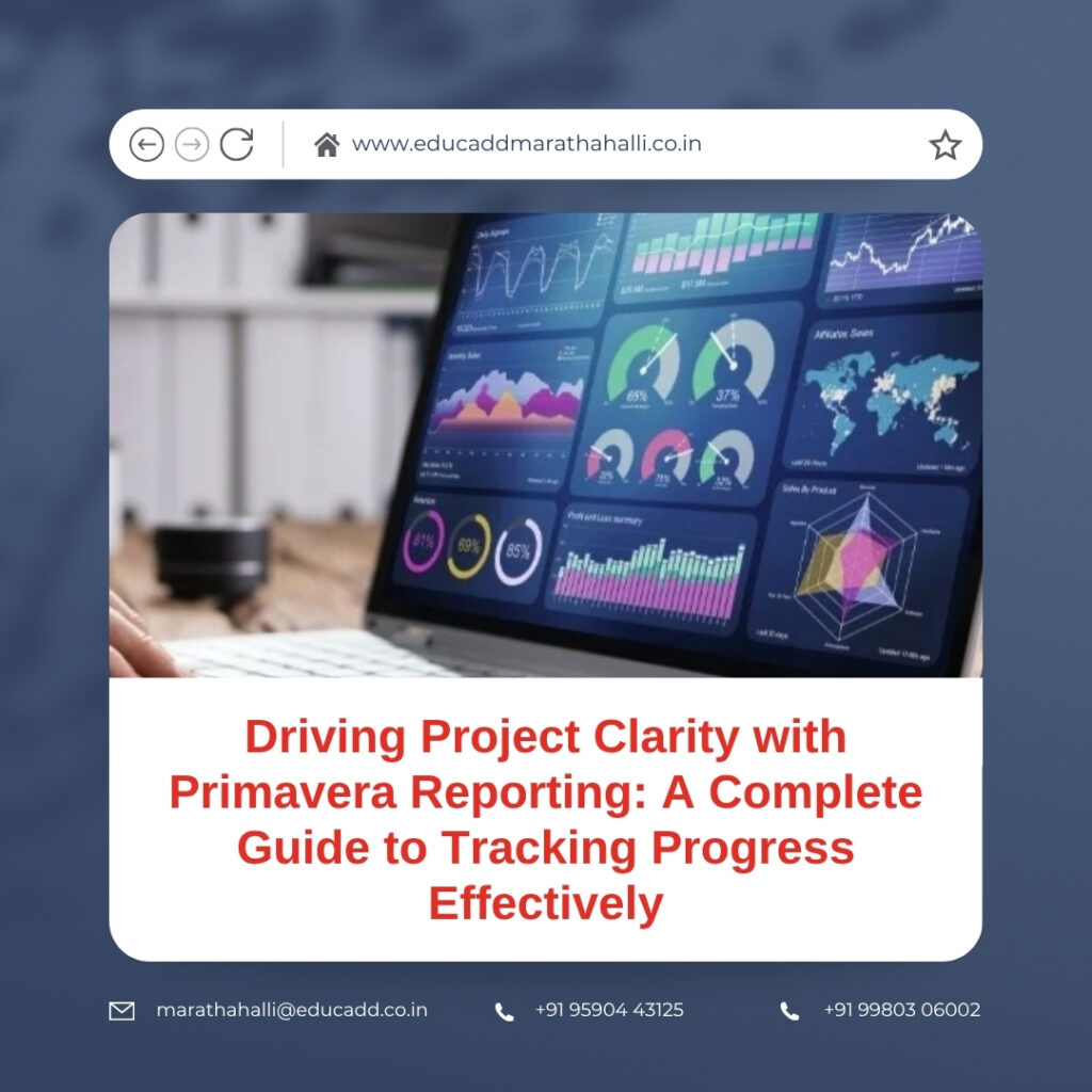 Primavera Project Reporting