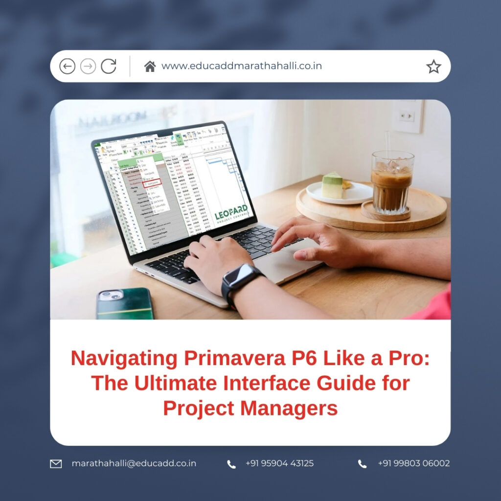 Primavera P6 Interface Guide
