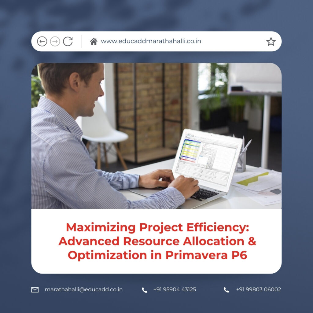Primavera P6 Resource Optimization