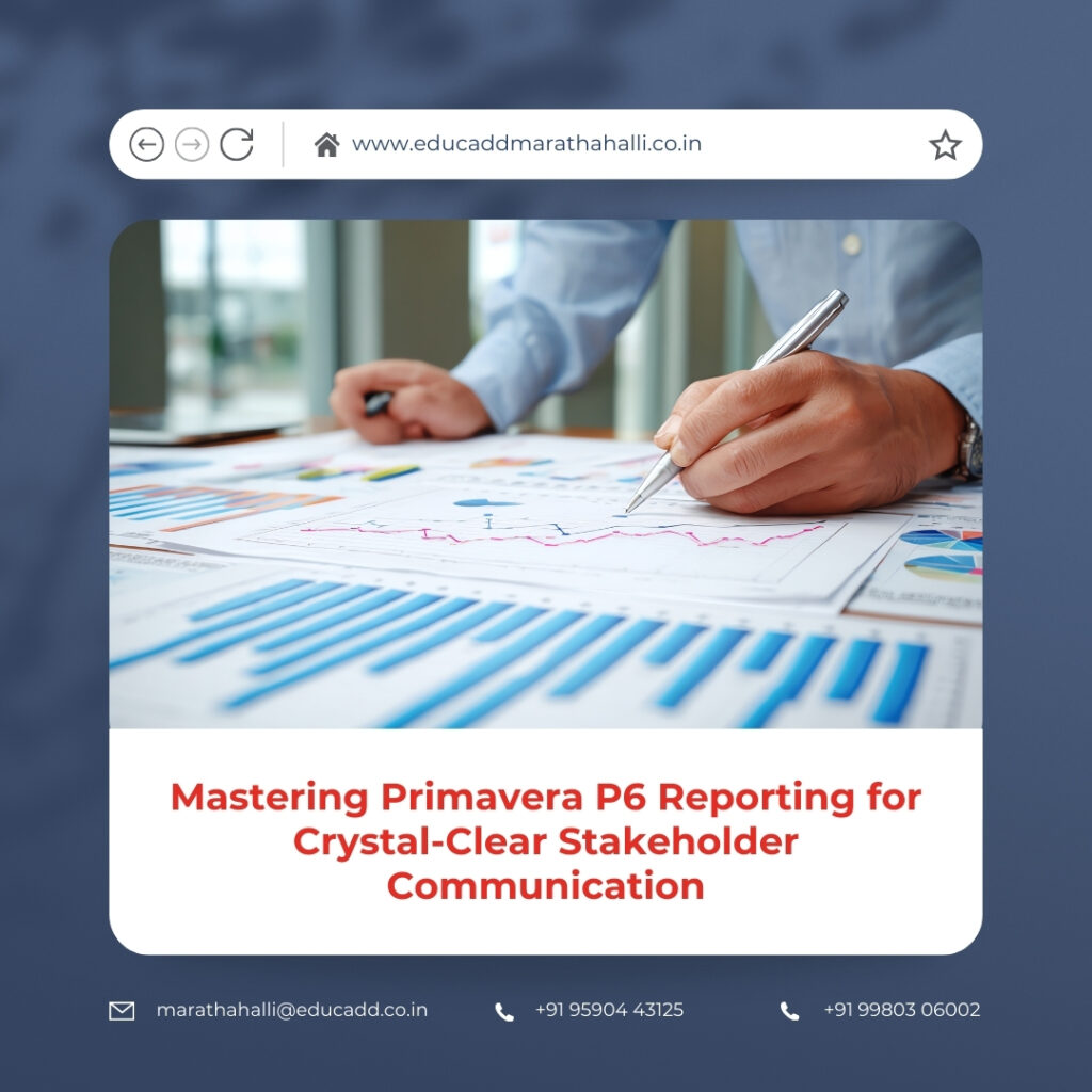 Primavera P6 Reporting Mastery