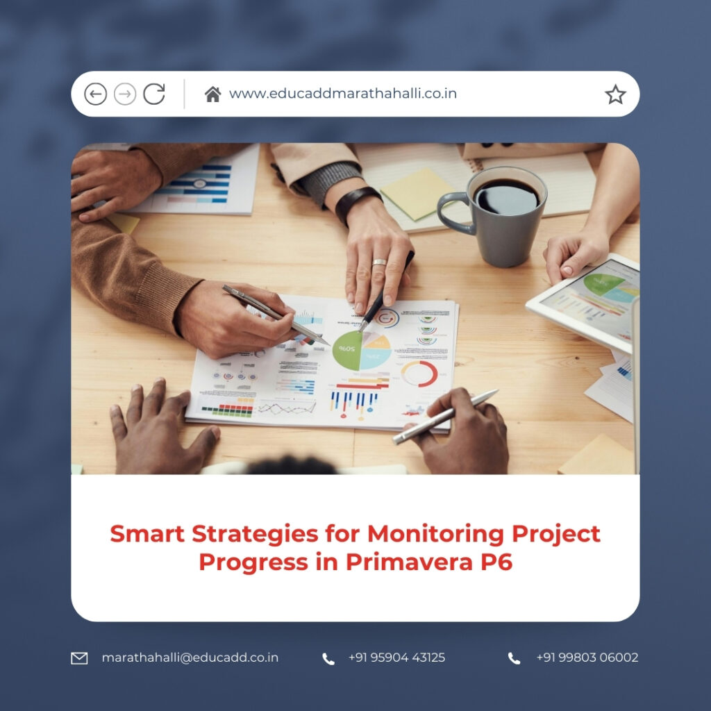 Primavera P6 Progress Monitoring