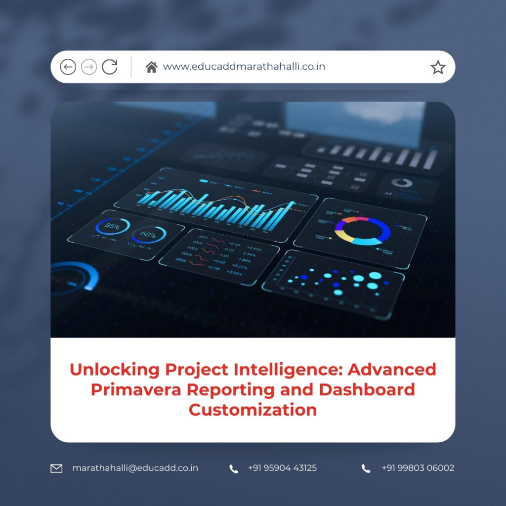 Primavera Reporting Dashboard Customization