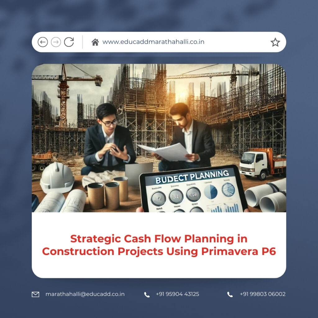 Primavera P6 Cash Flow