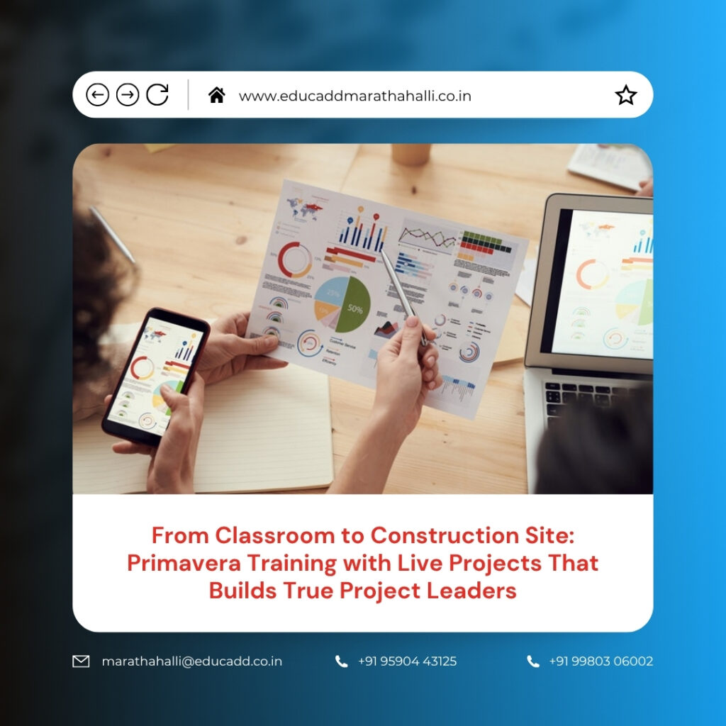 Primavera Training Live Projects