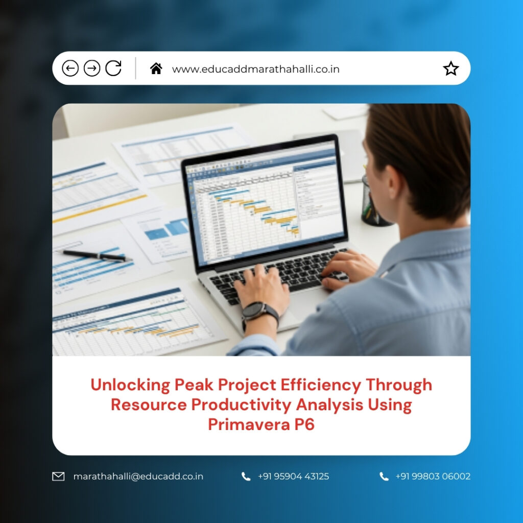 Primavera P6 Resource Productivity
