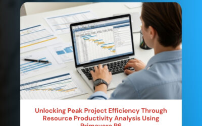 Unlocking Peak Project Efficiency Through Resource Productivity Analysis Using Primavera P6