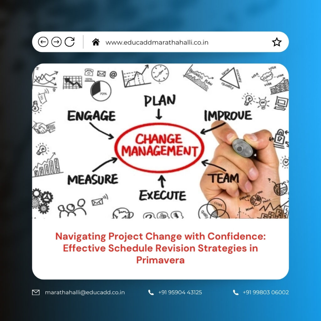 Primavera Schedule Revision Strategies