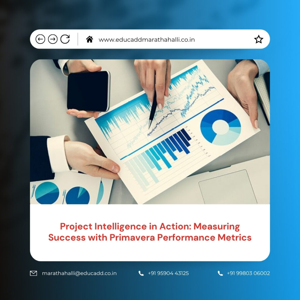 Primavera Performance Metrics Success