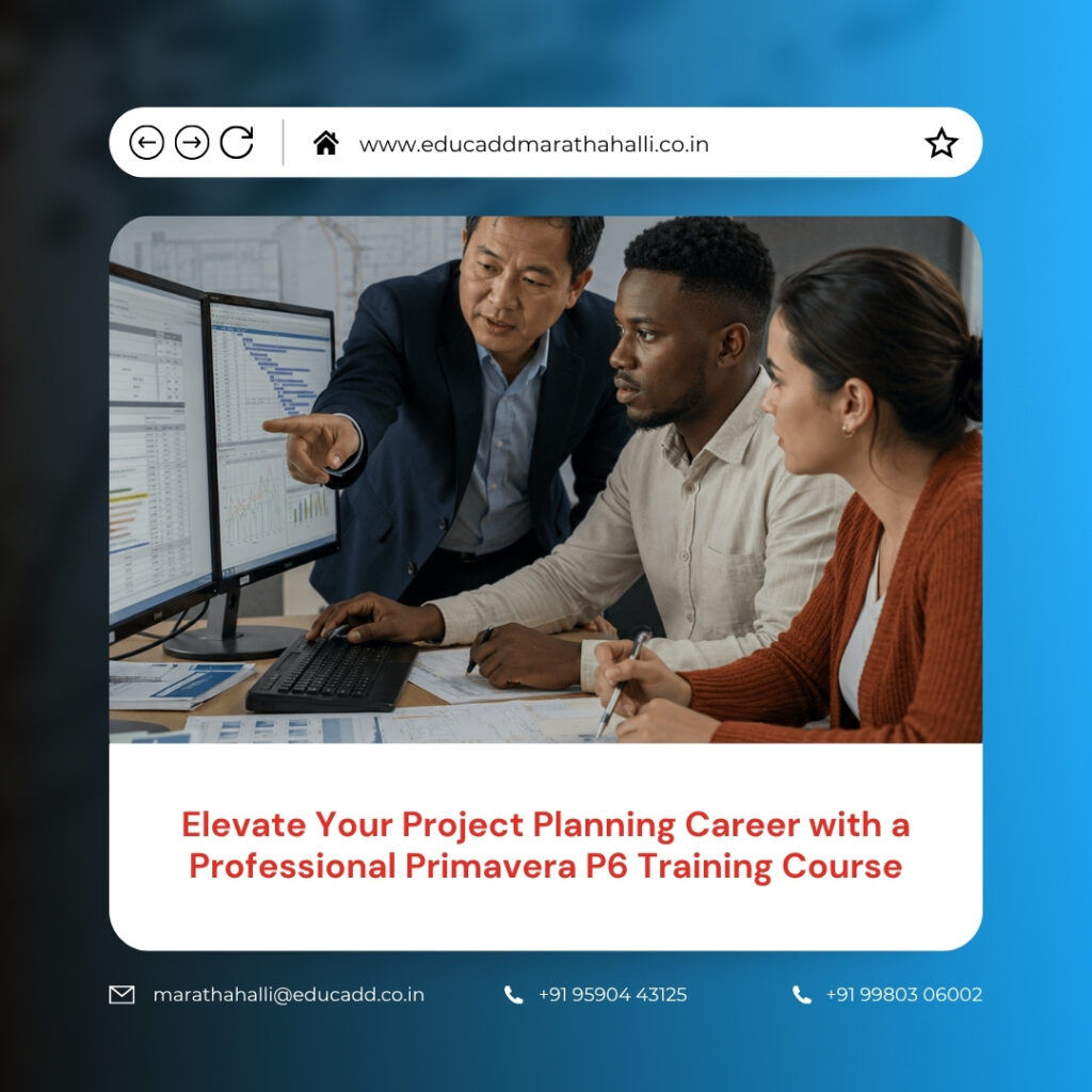 Professional Primavera P6 Training